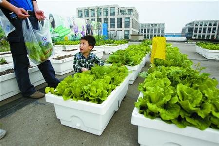 商场“第五立面”变都市农庄